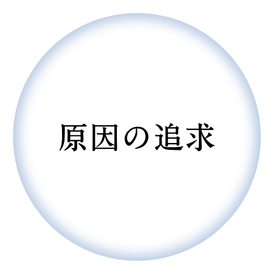 原因の追求