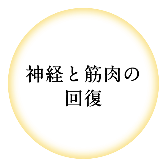 神経と筋肉の回復