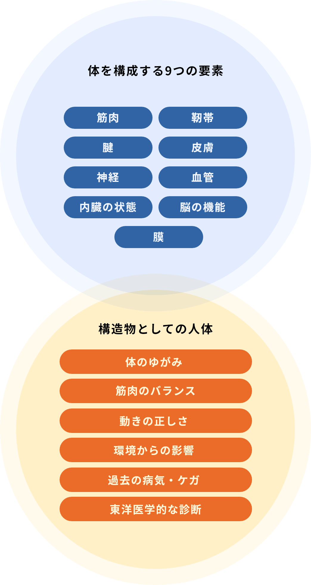 体を構成する9つの要素＋構造物としての人体