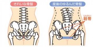 産後骨盤1