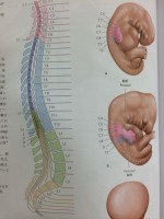 朝の勉強会