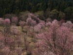 ゴールデンウィーク　福島県に行ってきました。