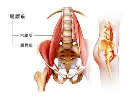 腸腰筋