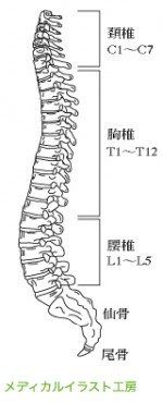 sekitui2