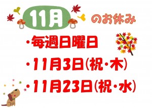 11月休診日