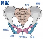 産後、お尻の痛み・・・？？