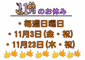 11月休診日