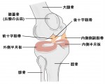 膝が・・・やっぱり痛い・・・！？